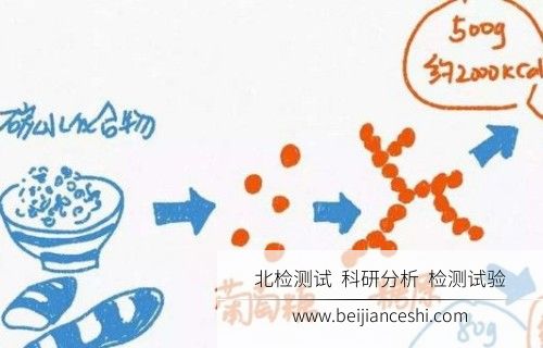 碳水化合物检测
