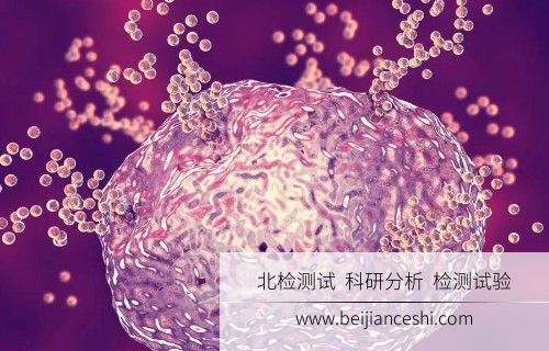 组胺检测