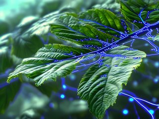 新风量测试-4