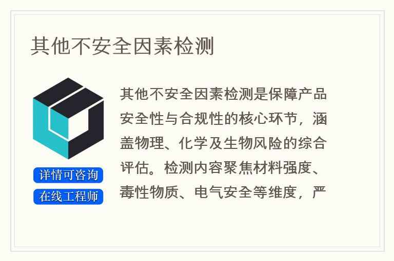 其他不安全因素检测