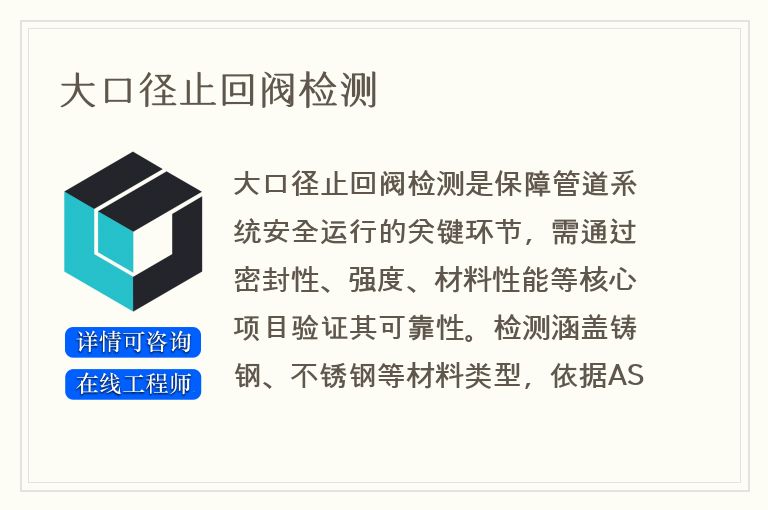 大口径止回阀检测
