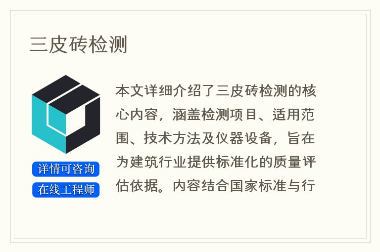三皮砖检测