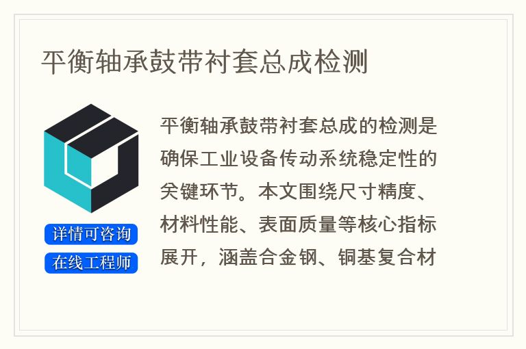平衡轴承鼓带衬套总成检测
