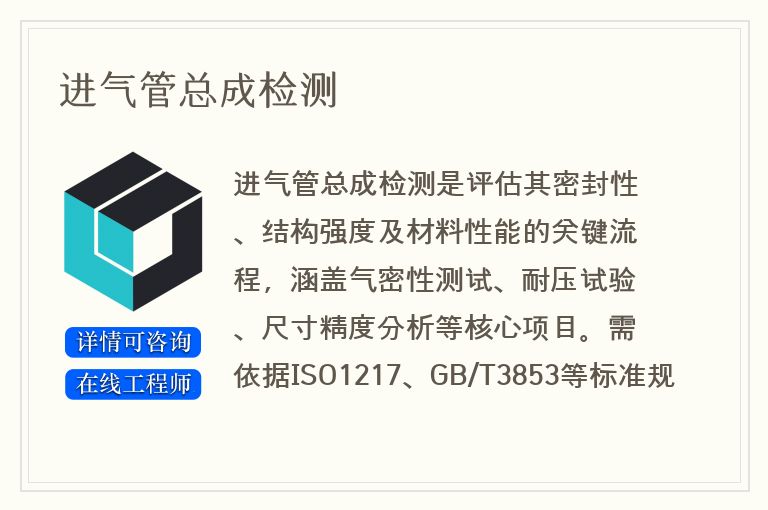 进气管总成检测