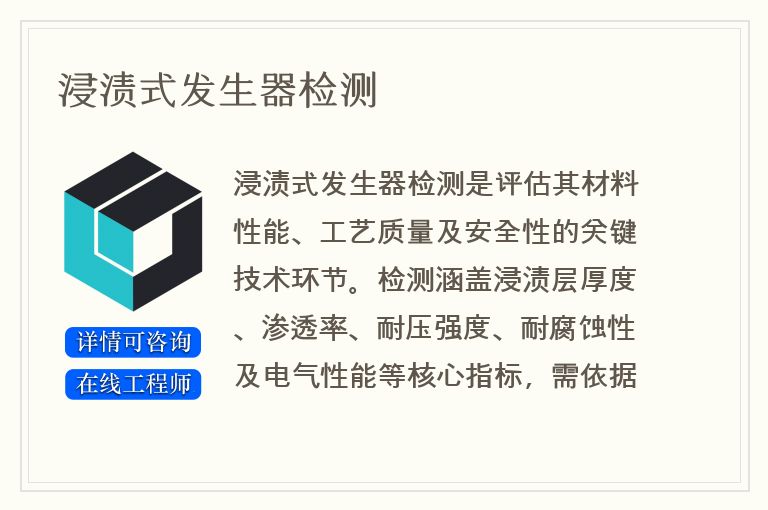 浸渍式发生器检测