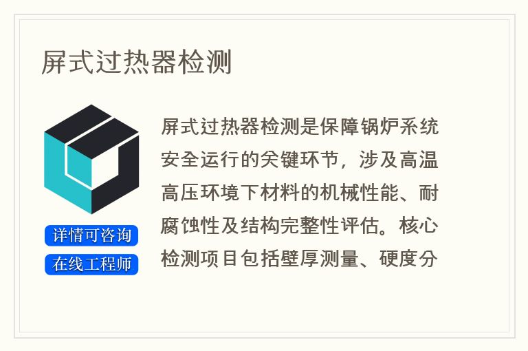 屏式过热器检测