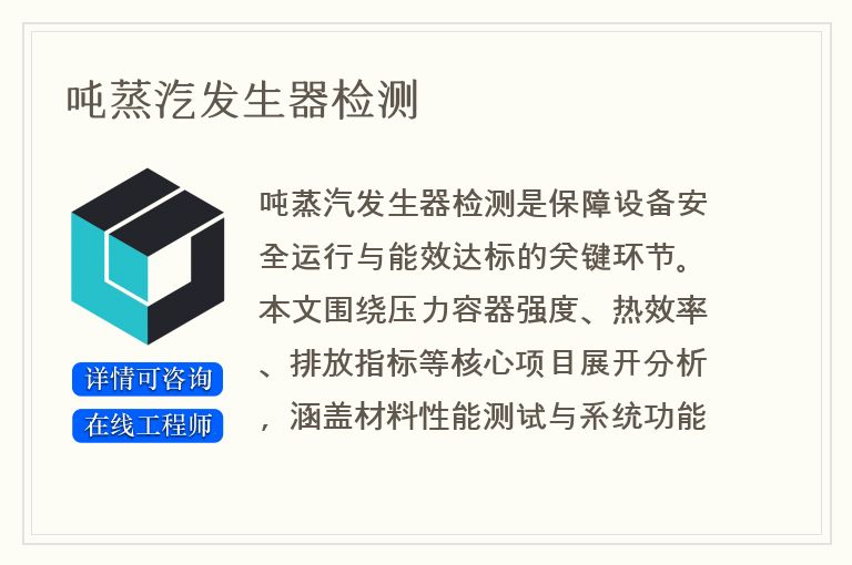 吨蒸汽发生器检测