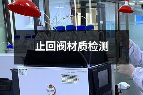 止回阀材质检测