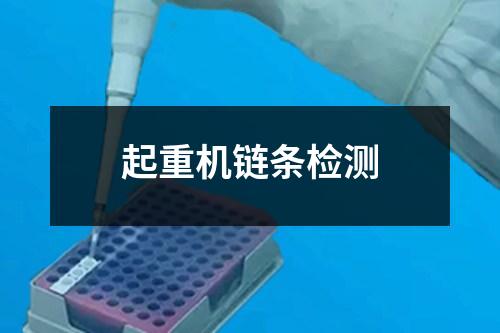 起重机链条检测