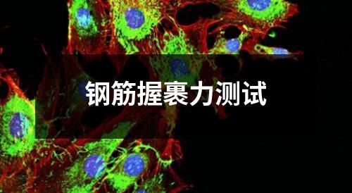 钢筋握裹力测试