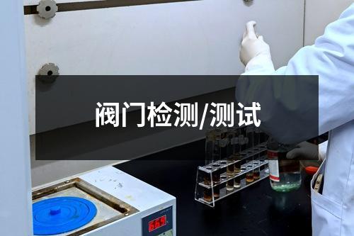 阀门检测/测试