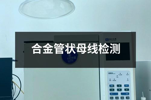 合金管状母线检测