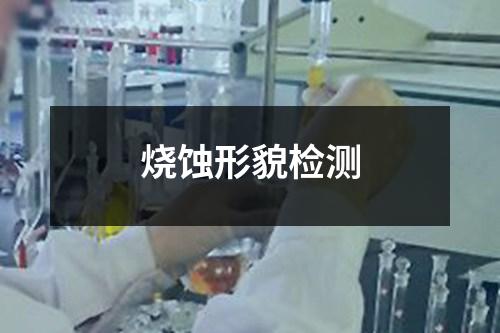 烧蚀形貌检测