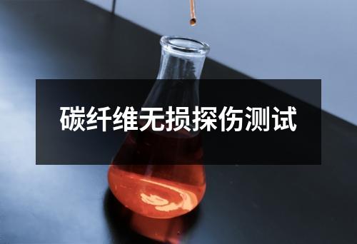 碳纤维无损探伤测试