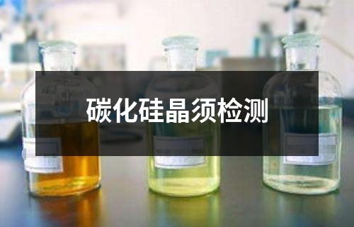 碳化硅晶须检测
