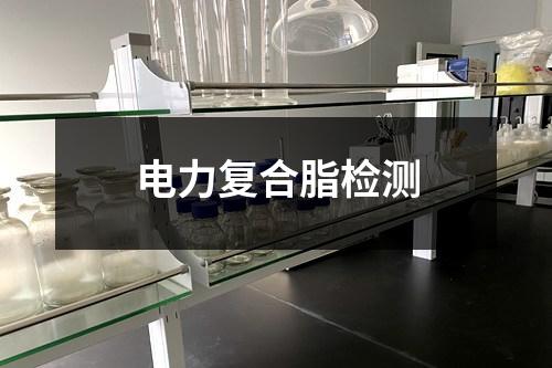 电力复合脂检测