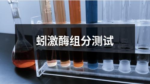 蚓激酶组分测试