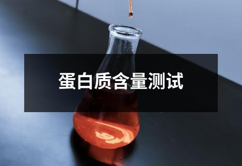 蛋白质含量测试