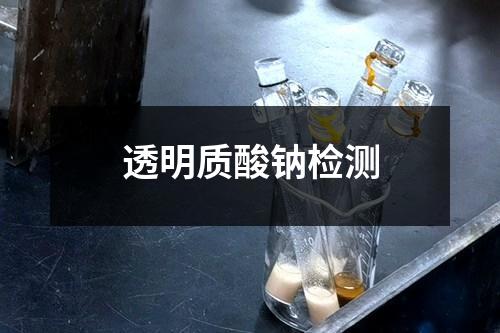 透明质酸钠检测