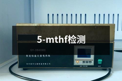 5-mthf检测