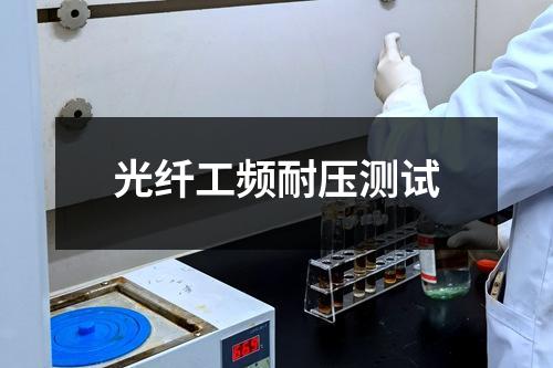 光纤工频耐压测试