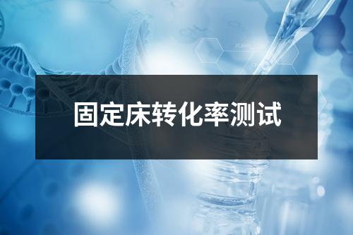 固定床转化率测试