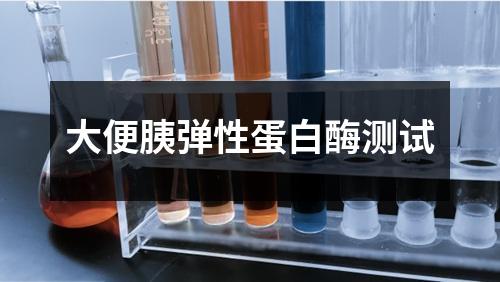 大便胰弹性蛋白酶测试