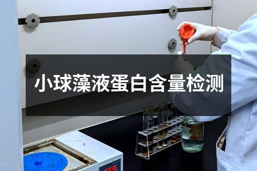 小球藻液蛋白含量检测