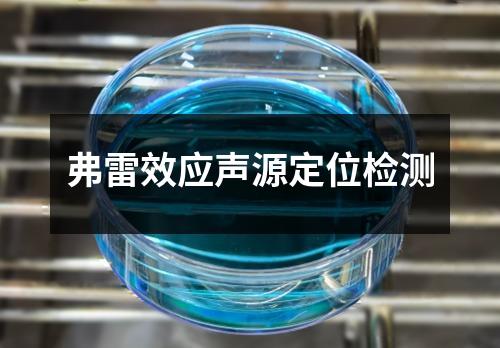 弗雷效应声源定位检测