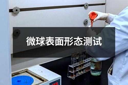 微球表面形态测试