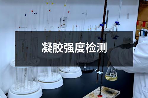凝胶强度检测