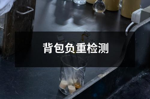 背包负重检测