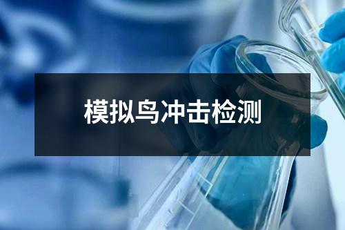 模拟鸟冲击检测
