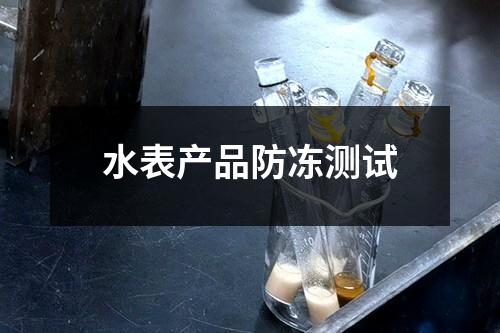 水表产品防冻测试