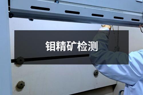 钼精矿检测