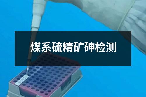 煤系硫精矿砷检测