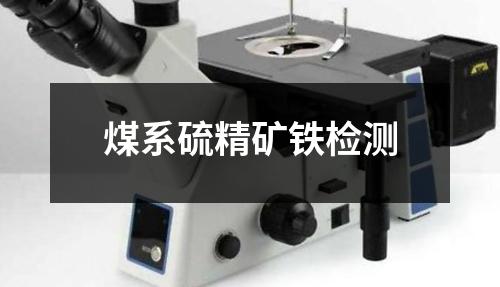 煤系硫精矿铁检测