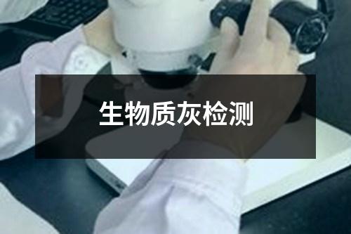 生物质灰检测