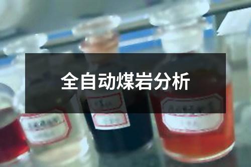 全自动煤岩分析
