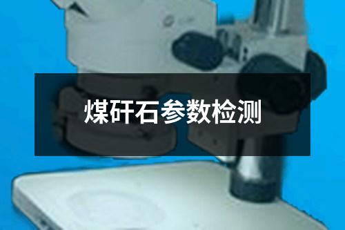 煤矸石参数检测