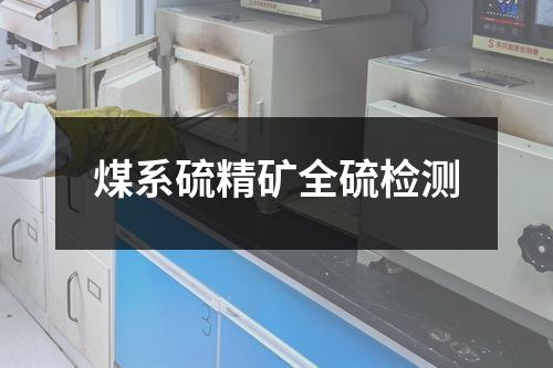 煤系硫精矿全硫检测