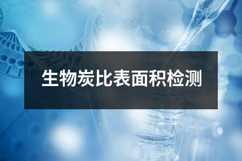 生物炭比表面积检测