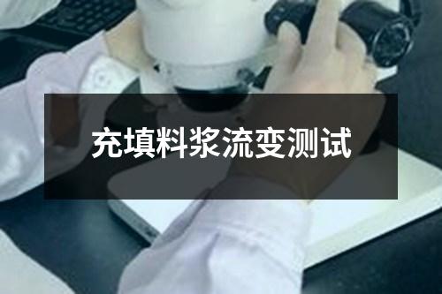 充填料浆流变测试