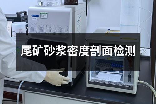 尾矿砂浆密度剖面检测