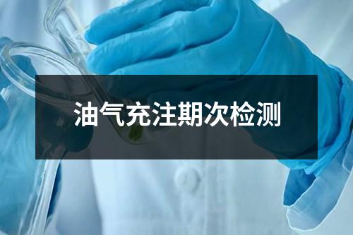 油气充注期次检测