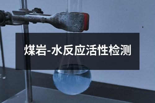 煤岩-水反应活性检测