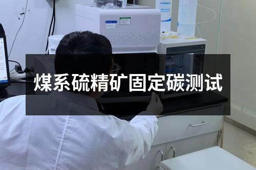 煤系硫精矿固定碳测试