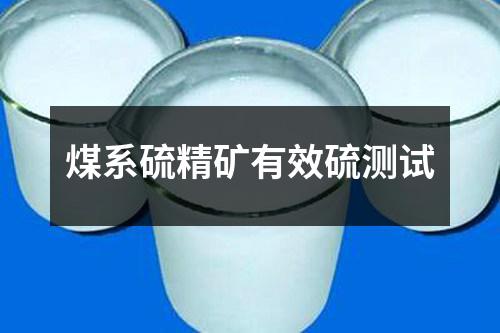 煤系硫精矿有效硫测试