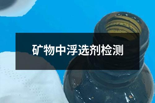 矿物中浮选剂检测
