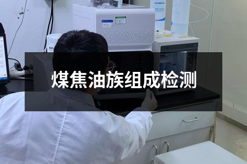 煤焦油族组成检测